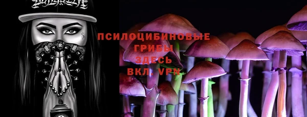 спайс Горняк