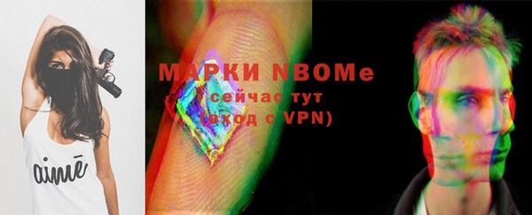 гашик Покровск