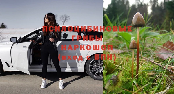 кокс Горнозаводск