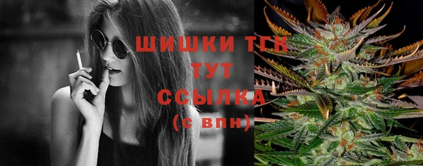 крисы Горно-Алтайск